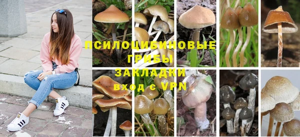 амф Балабаново